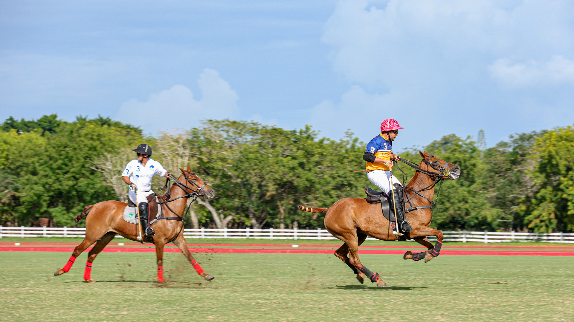 Copa británica de Polo - República Dominicana