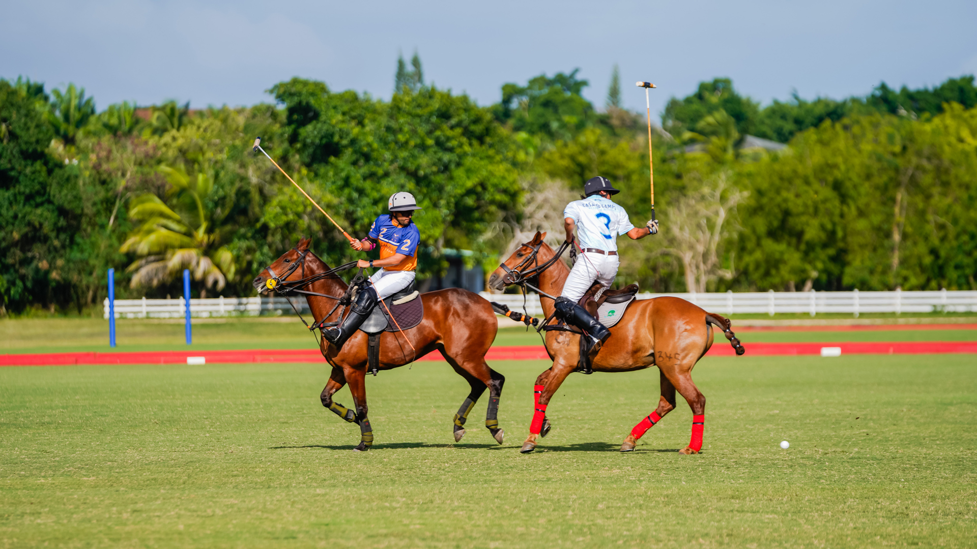 Copa británica de Polo - República Dominicana