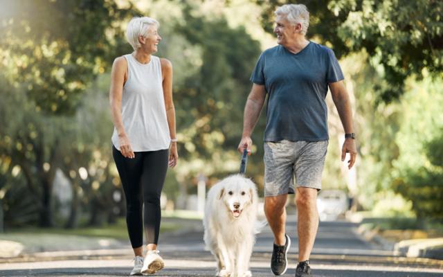 Pareja de adultos mayores pasea con su perro